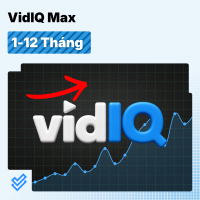 VidIQ Max