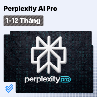 perplexity Perplexity AI Pro